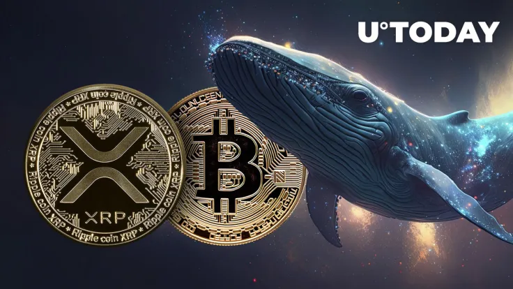 XRP and Bitcoin (BTC) Witness Jaw-Dropping Whale Transfer Activity