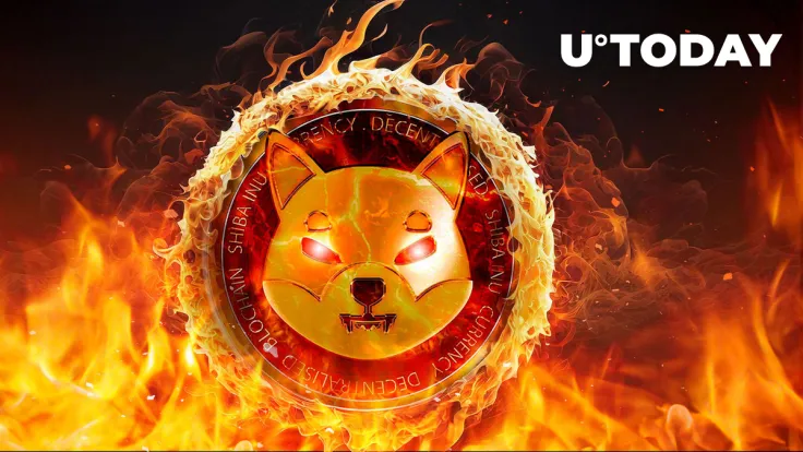 SHIB Burn Rate Springs 456%, Price Reacts by Printing Big Rise 