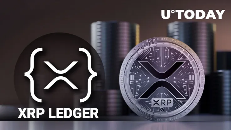 XRP Holders Should Mark This Step to Get This Reward