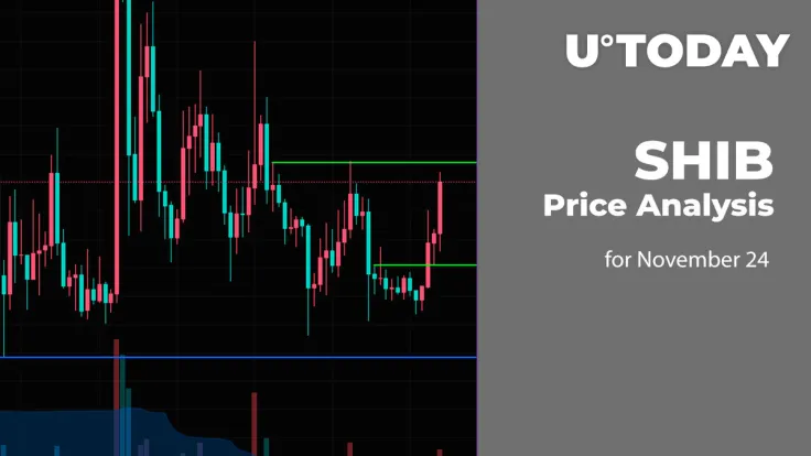 SHIB Price Analysis for November 24