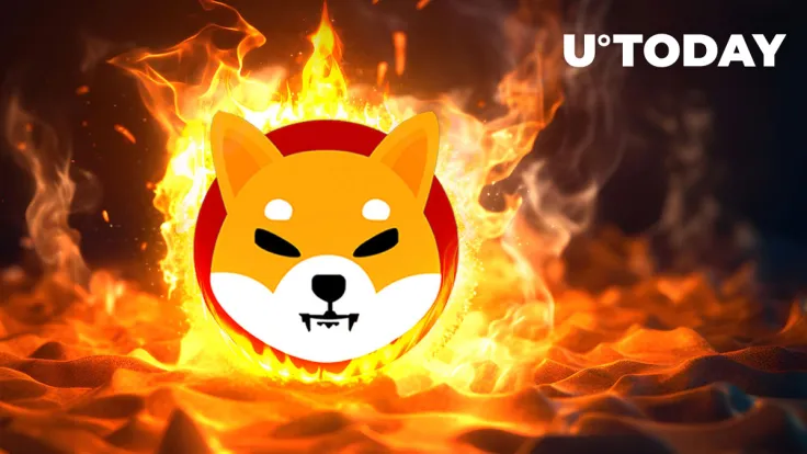 Shiba Inu Burn Rate Jumps 535% With Quarter Billion SHIB Burned