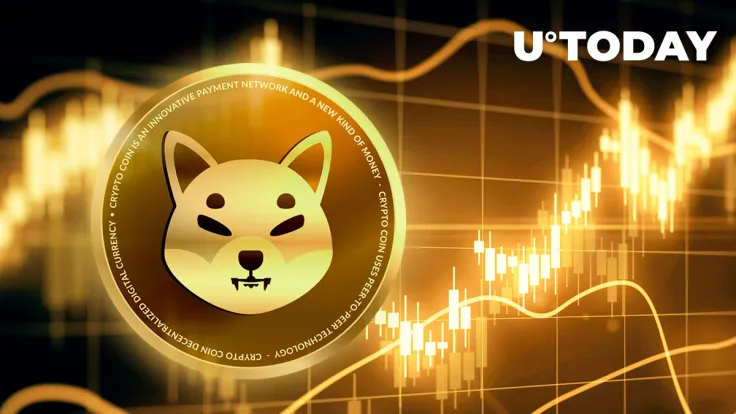 Shiba Inu (SHIB) On-chain Flows Skyrocket by 1,170%, Here's What's Driving It