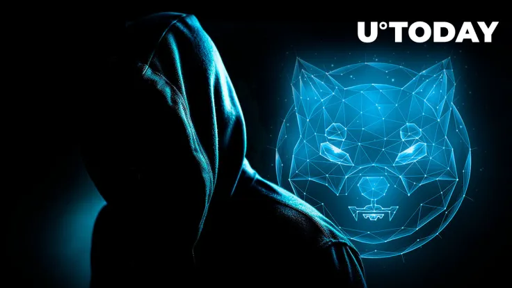 Shiba Inu Lead Shytoshi Kusama Reacts to SHIB Whitepaper's Deep Insights