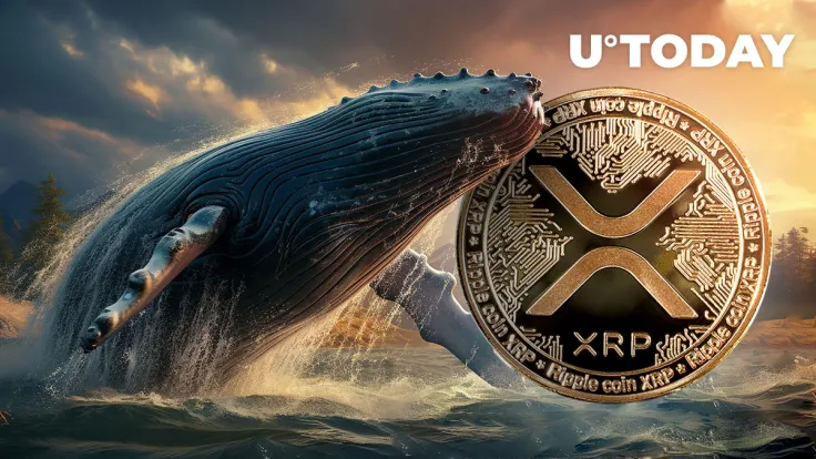 Millions of XRP Grabbed by Whales, Is XRP About to Take Off?