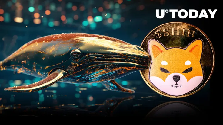 4.4 Trillion SHIB Shoveled by Anon Whales as Price Begins to Increase