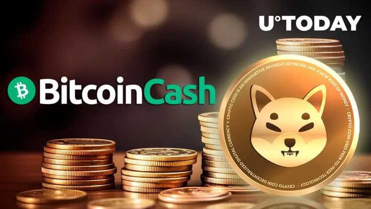 Shiba Inu (SHIB) Unseats Bitcoin Cash as Market Phenomenon Revealed
