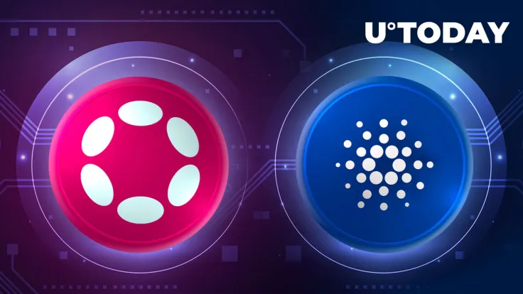 Polkadot (DOT) Makes Cardano Announcement, What Does It Relate To?