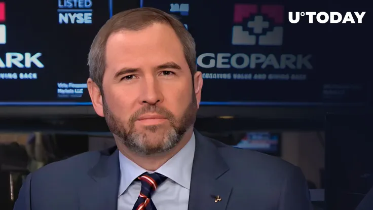 Ripple CEO Teases "Proverbial Cage Match"