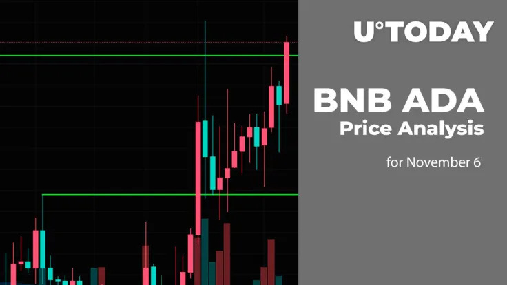 BNB and ADA Price Analysis for November 6