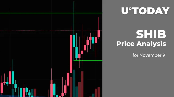 SHIB Price Analysis for November 9