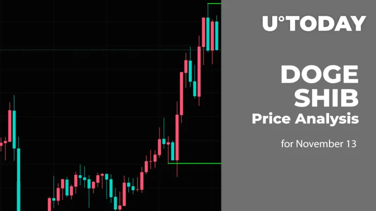 DOGE and SHIB Price Analysis for November 13