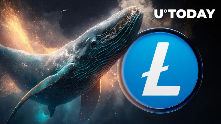 Litecoin (LTC) Whales May Trigger Interesting Price Dynamics