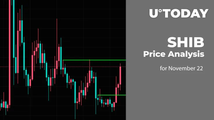 SHIB Price Analysis for November 22