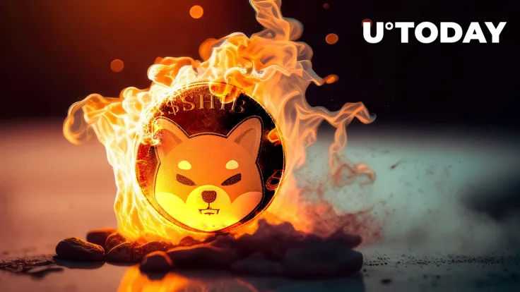 Shiba Inu (SHIB) Weekly Burn Drops to Lowest in Months, Hype Fading?