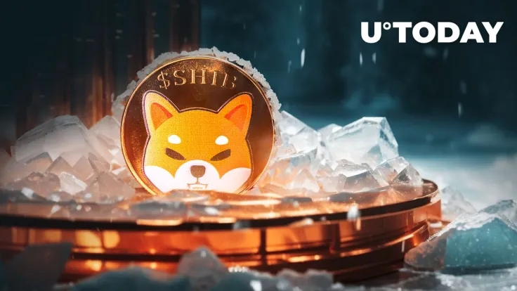 Shiba Inu's December Drama: SHIB Investors Buckle Up for Price Roller Coaster