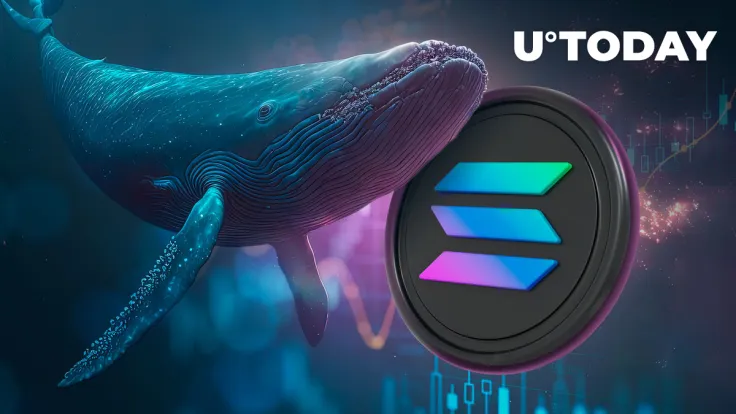 Whale Makes Big Moves on Solana (SOL) — Is Trend Reversal on Horizon?