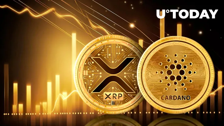XRP, ADA in Record-Breaking Inflow Surge — Largest Bull Run Since 2021