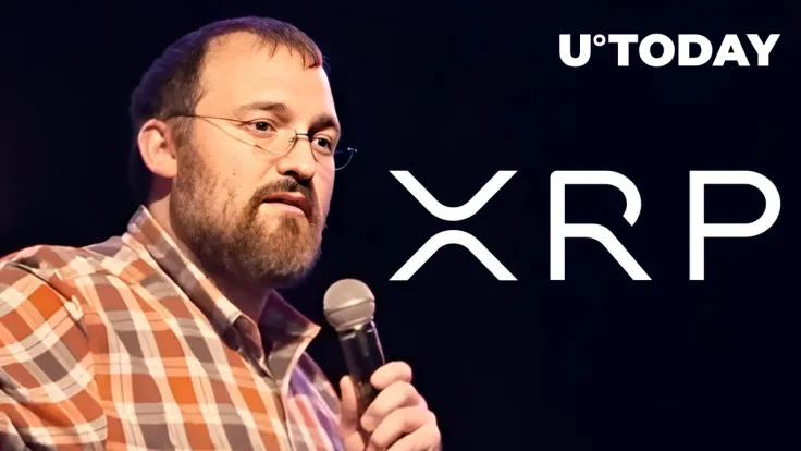 Charles Hoskinson and XRP Community Get in Fight Again, Here's What Happened
