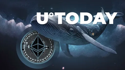 Ethereum Whale Goes All in on ETH in Brave Move as Price Skyrockets