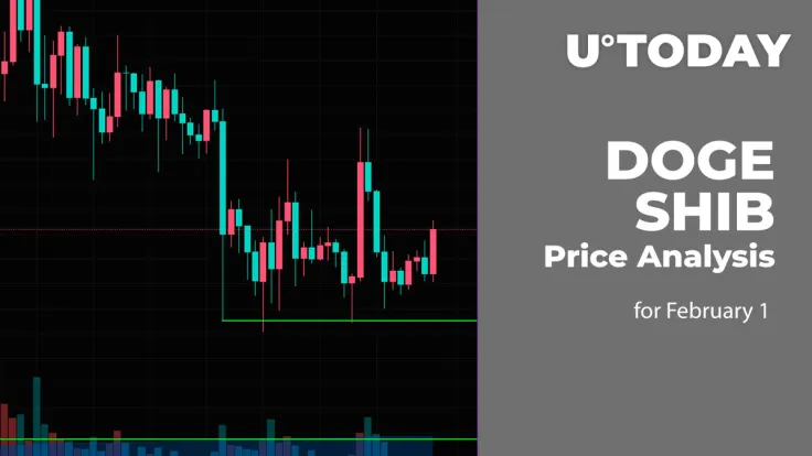 DOGE and SHIB Price Analysis for February 1
