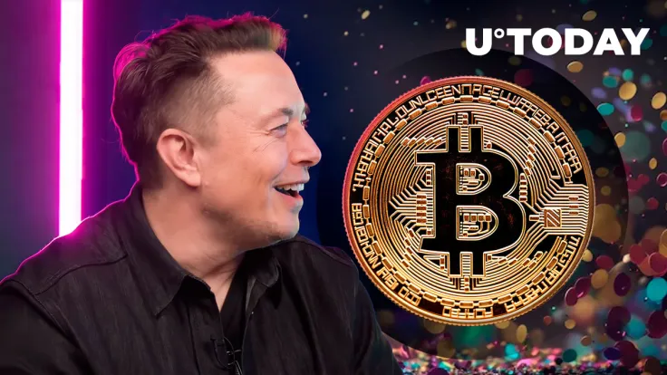 Elon Musk Becomes Bitcoiner - Crypto Community Celebrates 3-Year Anniversary