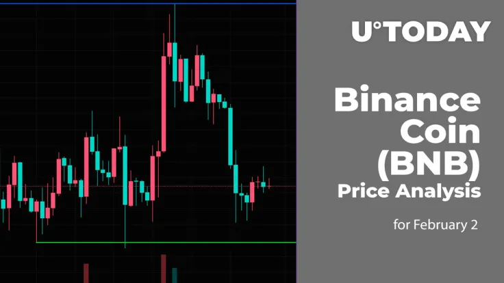 Binance Coin (BNB) Price Analysis for February 2
