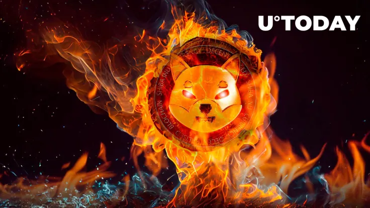 Important SHIB Burn Clarification Made by Shiba Inu Member