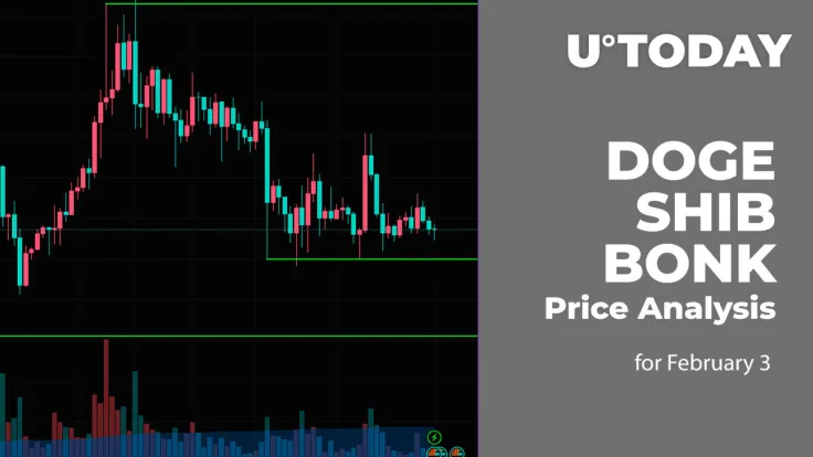 DOGE, SHIB and BONK Price Analysis for February 3