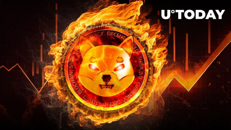 Shiba Inu (SHIB) Burn Rate Jumps 282%, But Don't Celebrate Yet