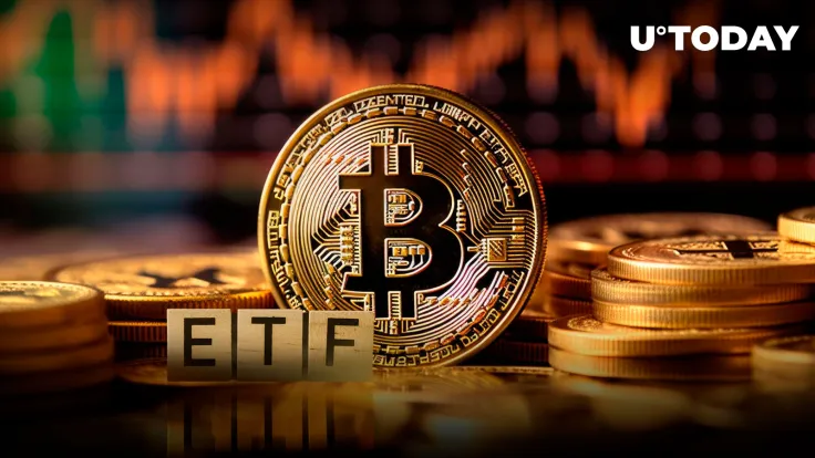 Bitcoin Wallet Activity Dips Despite ETF Approvals