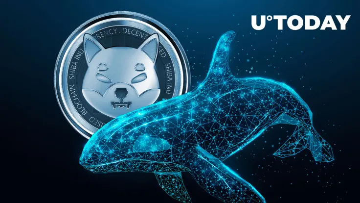 Shiba Inu Spikes 300% On-Chain as 5.68 Trillion SHIB Shifted by Whales