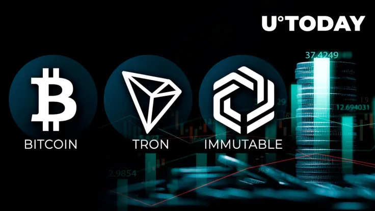3 Cryptocurrencies With Address Profitability Above 85%