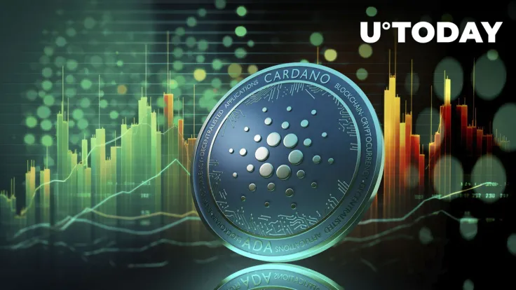 Cardano: Here's Why Long-Term Holders Are Buying More ADA