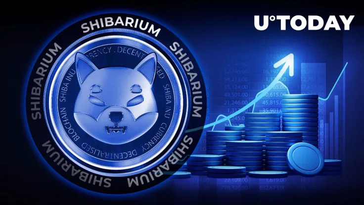 Shiba Inu Sees 50% Surge in Shibarium Activity as SHIB Price Finds Key Support