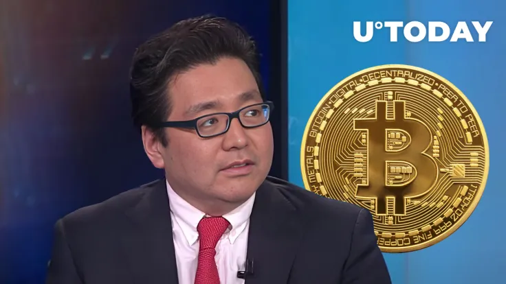 Tom Lee Names Key Reason Behind Bitcoin Price Rally 
