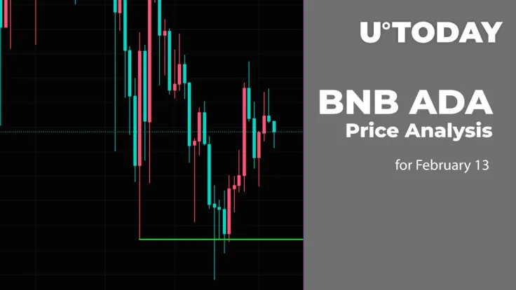 BNB and ADA Price Prediction for February 13