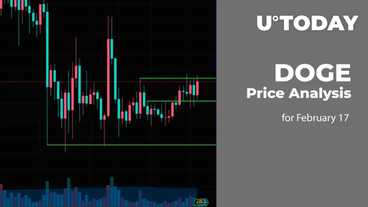 DOGE Price Prediction for February 17
