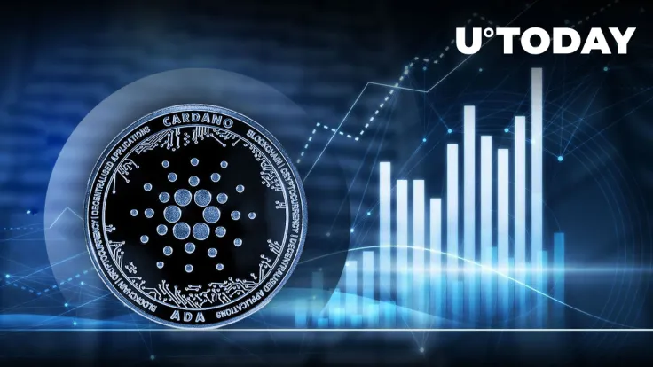 Cardano's ADA Surges 10%: Founder Expresses Optimism