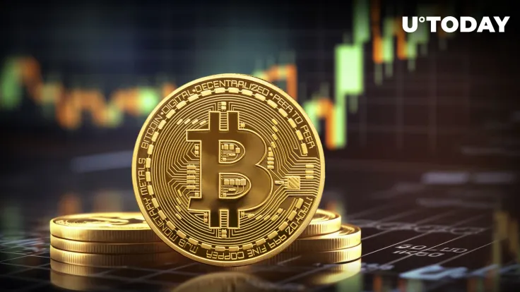 Bitcoin Surges to Record Levels in Super Holders' Wallets