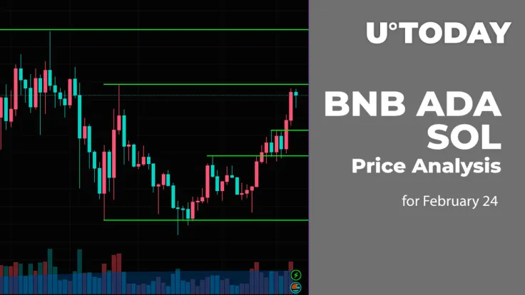 BNB, ADA and SOL Price Prediction for February 24