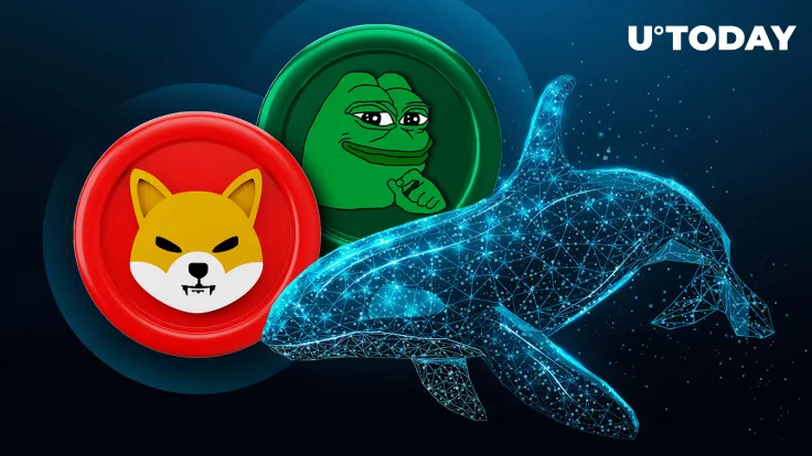 Whale Makes Major Moves With SHIB and PEPE Amid Market Rise