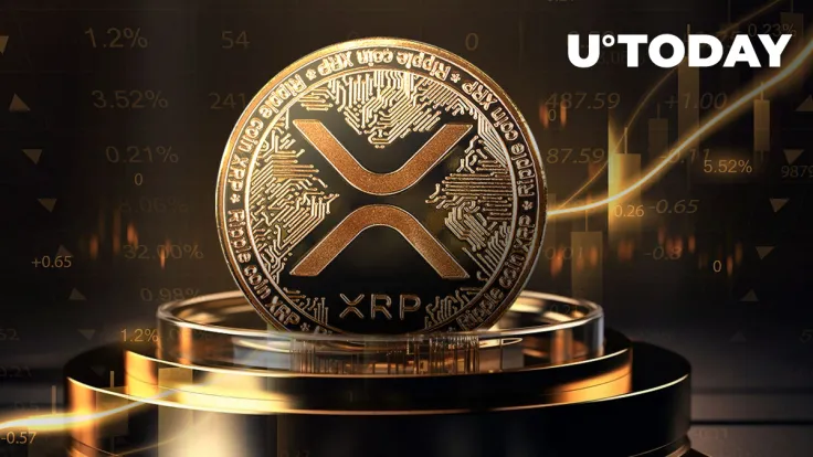 28 Million XRP Moved by Mysterious Whale Amid Surging Crypto Prices
