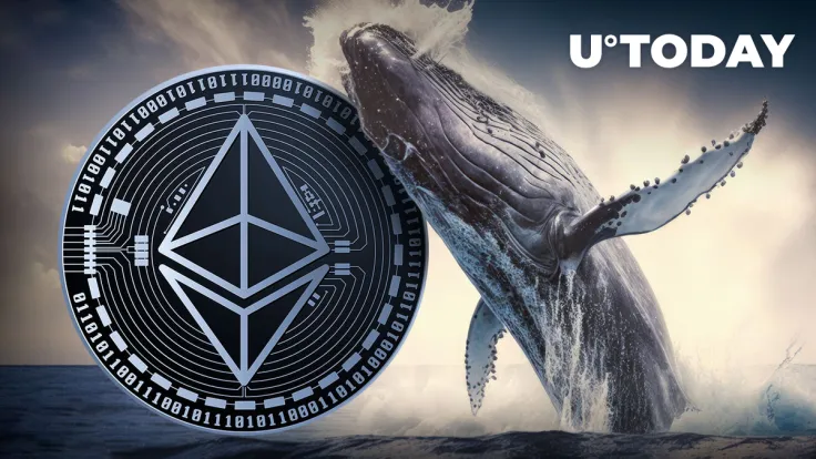 Another Dormant Ethereum Whale With Pre-Mined ETH Suddenly Wakes Up
