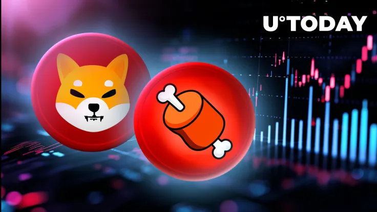 Shiba Inu: Major Crypto Exchange Expands Support for BONE