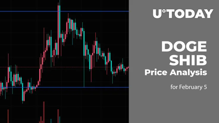 DOGE and SHIB Price Analysis for February 5