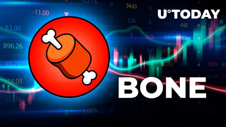 Shiba Inu: BONE Triggers 858% On-chain Surge After This Exchange's Announcement