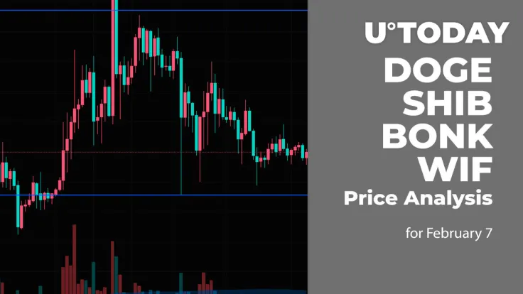 DOGE, SHIB, BONK and WIF Price Analysis for February 7