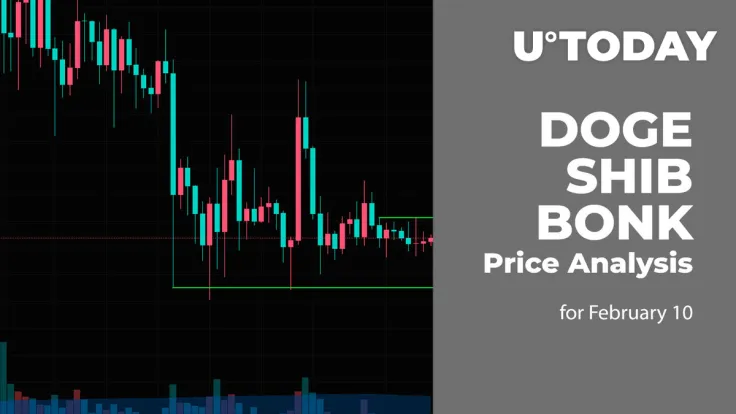 DOGE, SHIB and BONK Price Prediction for February 10