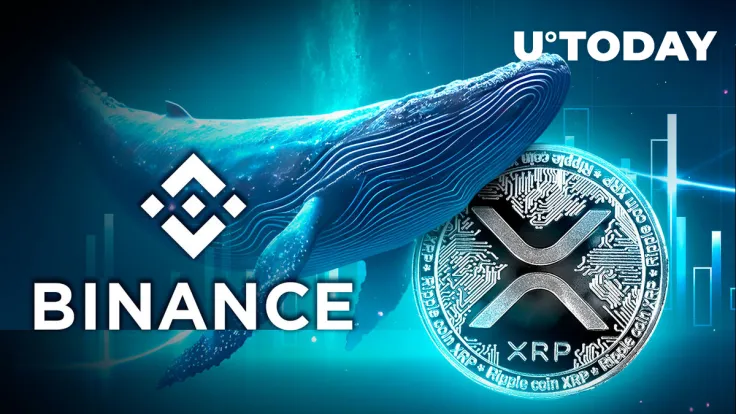 XRP Whale Shifts Millions of XRP Tokens to Binance, Here's Why