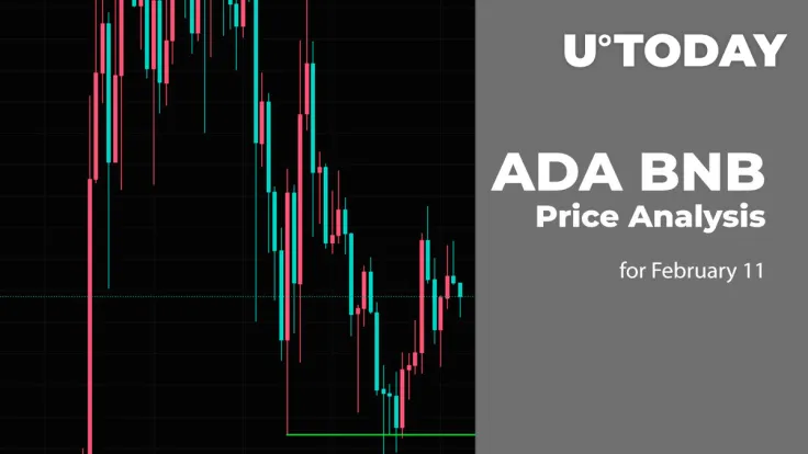ADA and BNB Price Prediction for February 11
